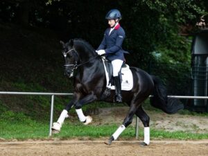Sir-Rex Højgård