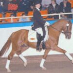 Lulu Hoejgaard