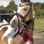 Miss Gucci Hoejgaard