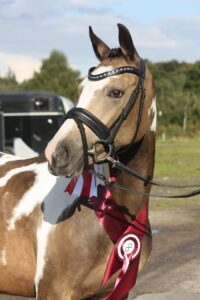 Miss Gucci Hoejgaard