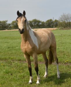 Miss Gucci Hoejgaard