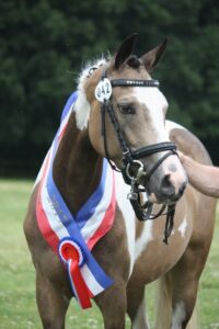 Miss Gucci Hoejgaard