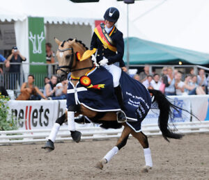Mondial Højgård