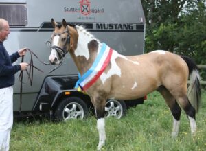 Mon Chello Hoejgaard