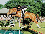 Movie Star Højgård