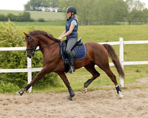 Conito Højgård