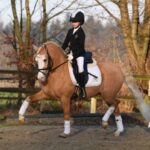 Navoye Højgård